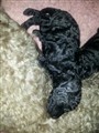 20120620_215740.jpeg