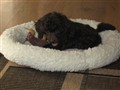 IMG_2462.JPG